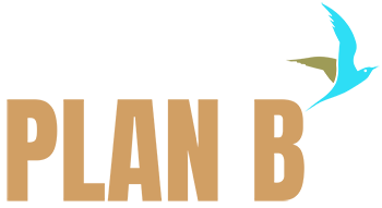 PLAN B